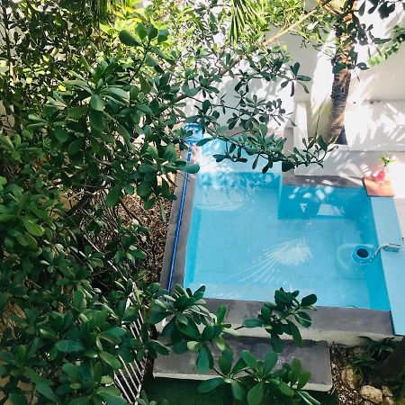 Cozy Tiny Studio Acasadialexplayadelcarmen Playa del Carmen Dış mekan fotoğraf