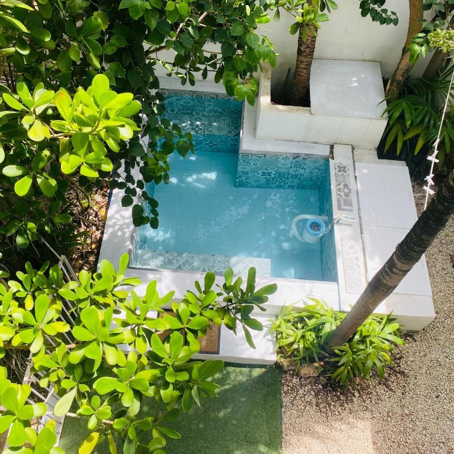 Cozy Tiny Studio Acasadialexplayadelcarmen Playa del Carmen Dış mekan fotoğraf