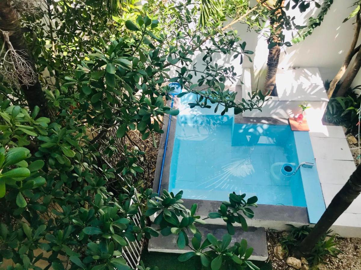 Cozy Tiny Studio Acasadialexplayadelcarmen Playa del Carmen Dış mekan fotoğraf