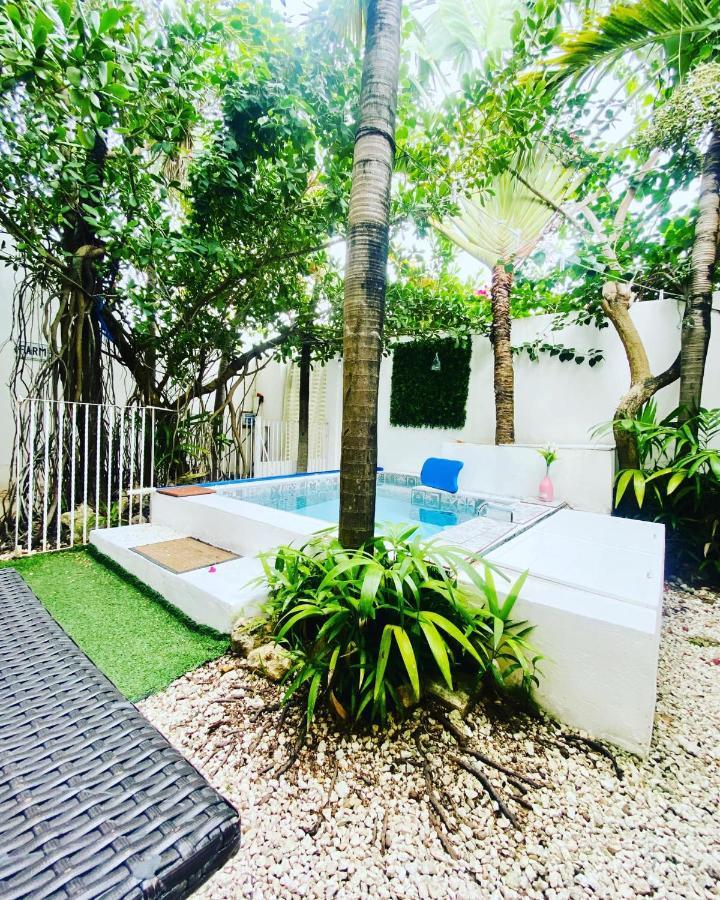 Cozy Tiny Studio Acasadialexplayadelcarmen Playa del Carmen Dış mekan fotoğraf