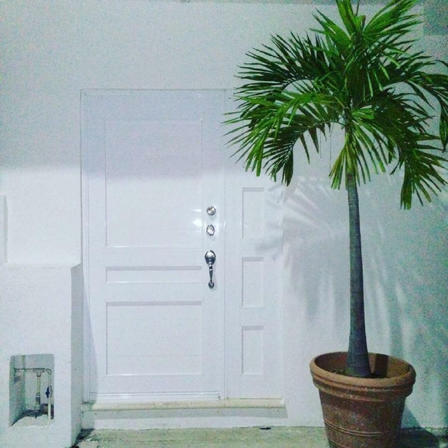 Cozy Tiny Studio Acasadialexplayadelcarmen Playa del Carmen Dış mekan fotoğraf